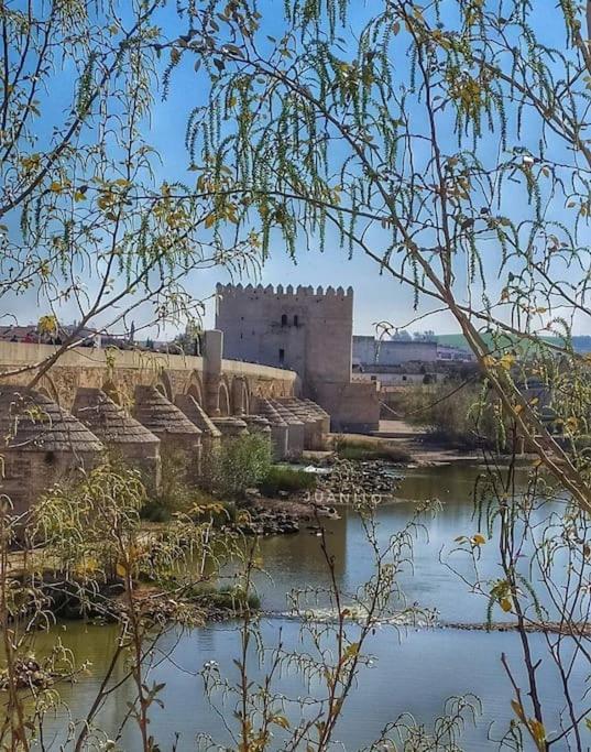 Apartamento Maripipi Córdoba Exteriör bild
